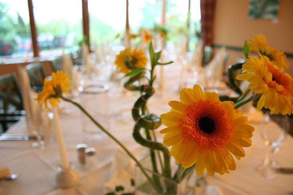 Landhotel Dresden Eksteriør bilde